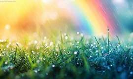 总生存期达26.5个月！肺癌靶向治疗耐药后，“艾托组合抗体”助力患者长生存