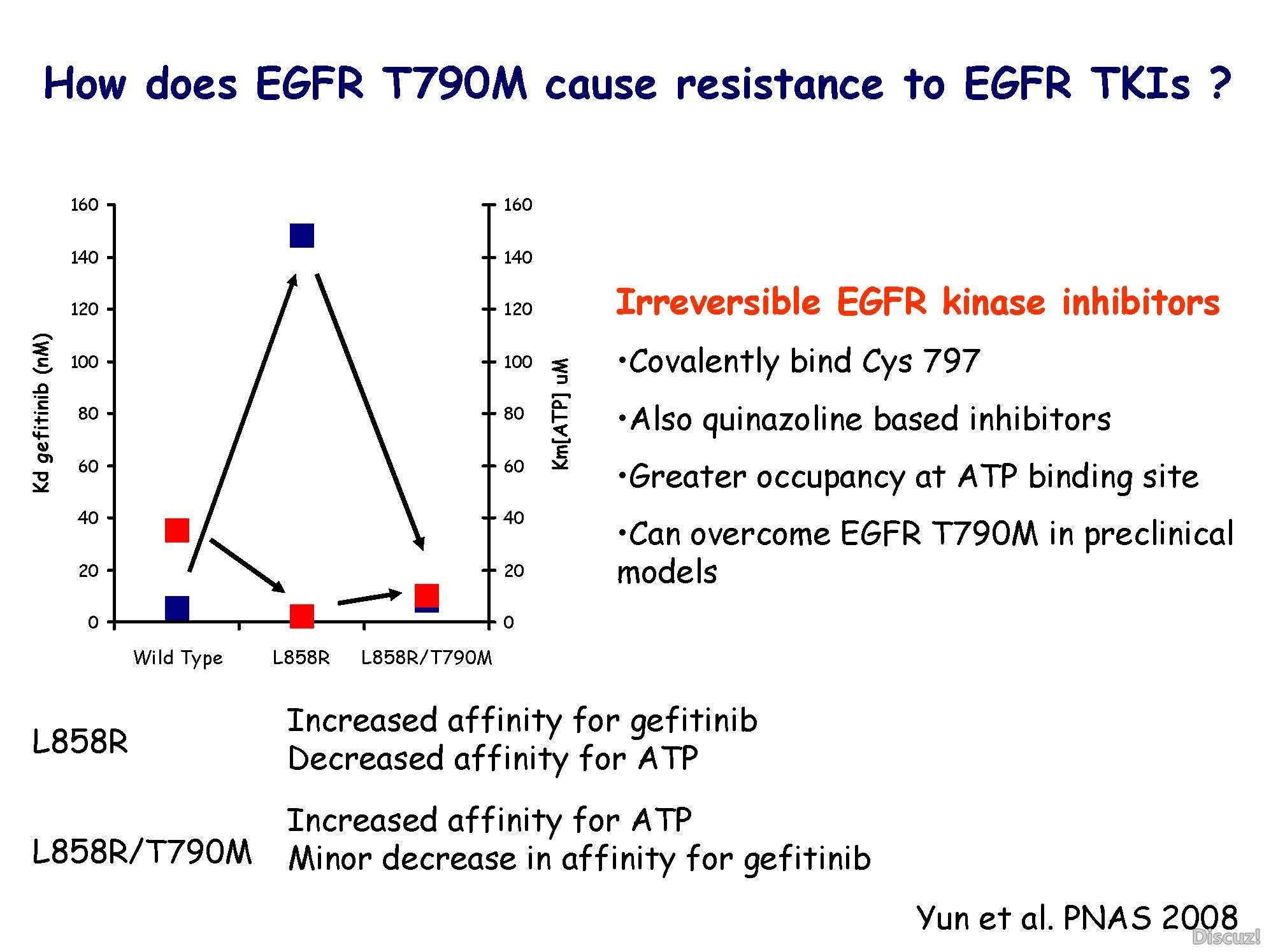 Janne AOS 2010 novel EGFR inhibitors_页面_06.jpg