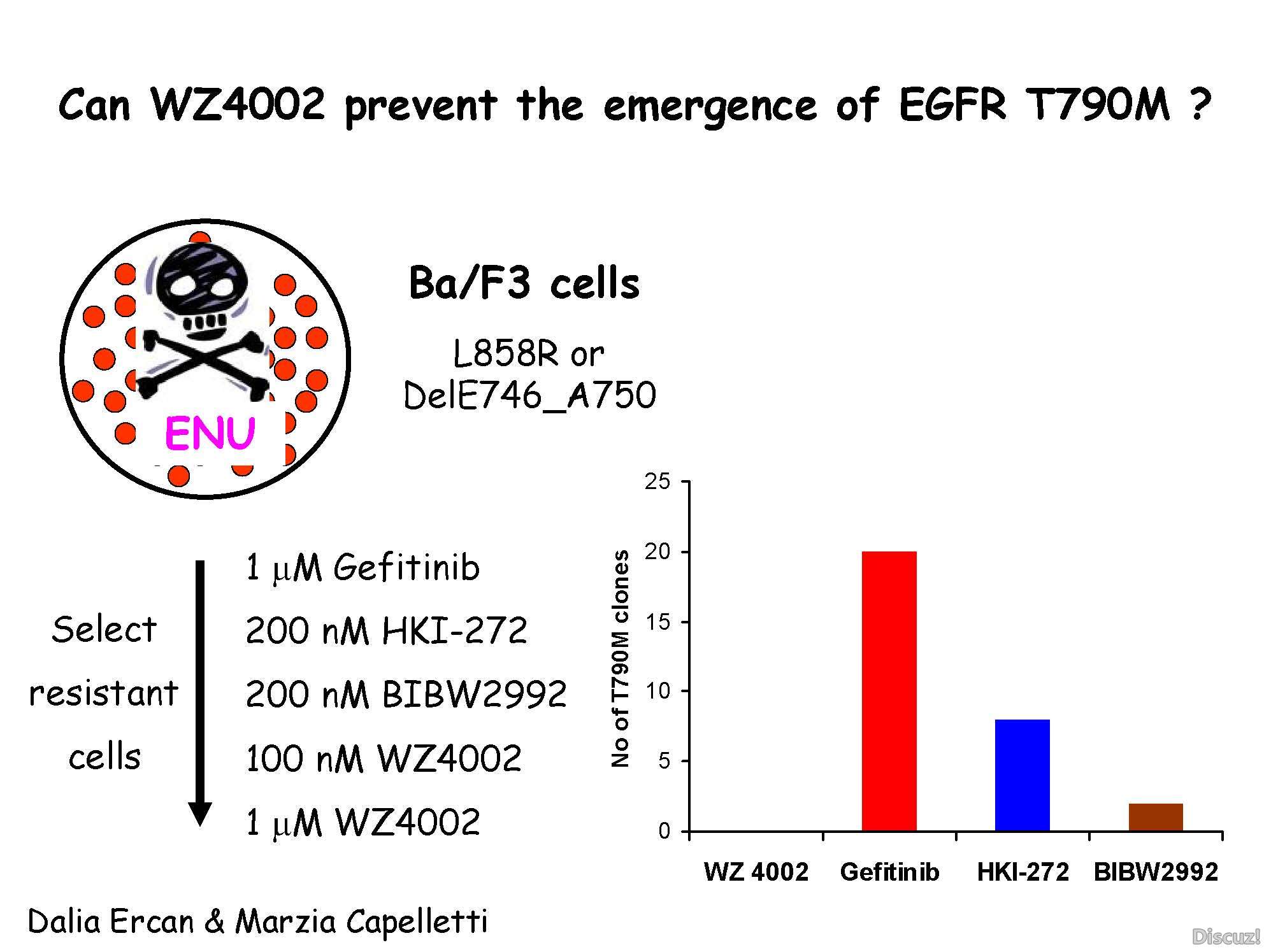 Janne AOS 2010 novel EGFR inhibitors_页面_26.jpg