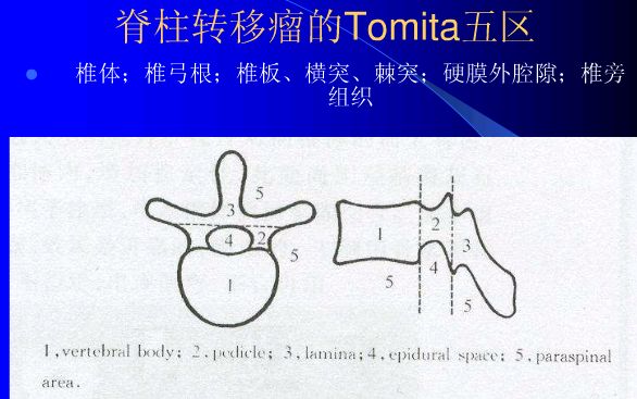 TOMITA-5区.jpg