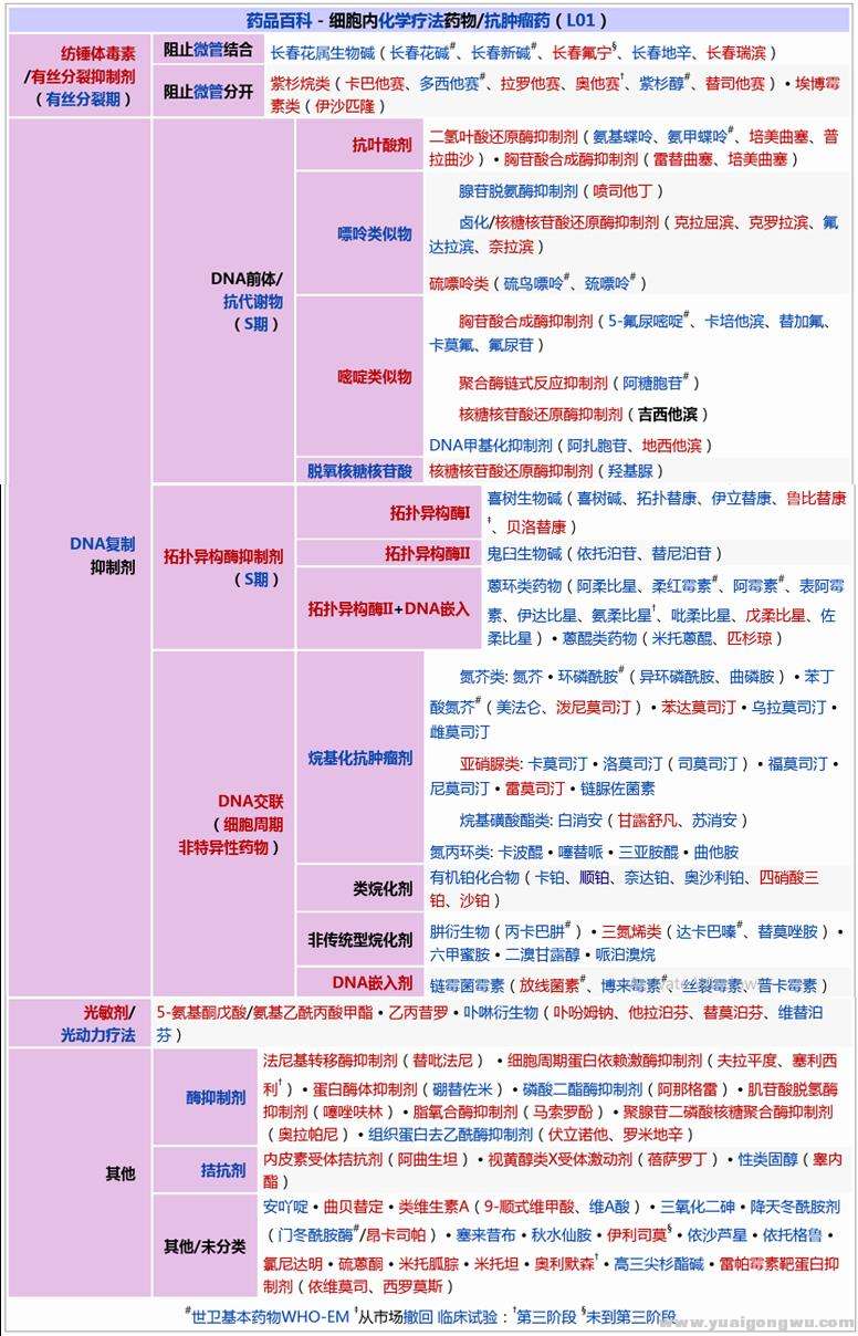 化疗药物的分类.jpg