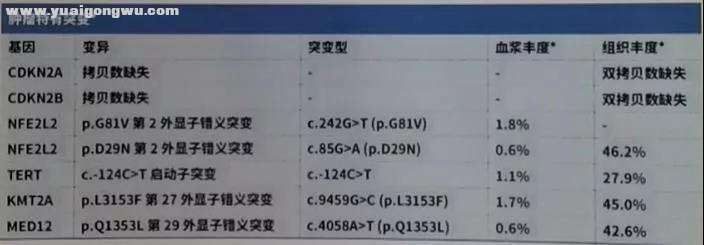 微信图片_20210206173945.jpg